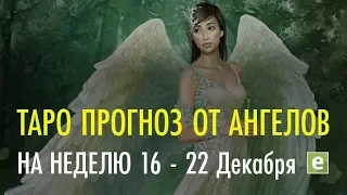 ПОСЛАНИЯ АНГЕЛОВ НА НЕДЕЛЮ с 16 по 22 декабря