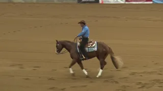 201004 Open Futurity Andrea Fappani on All Bettss Are Off