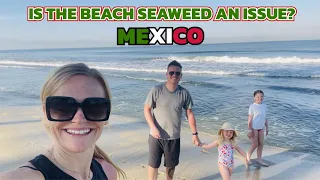 Is Seaweed an issue on Puerto Vallarta Beach? | Riu Vallarta Sports Bar | Day 3 Mexico 23