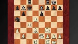 Schach Partie Kasparov - Portisch (1983)