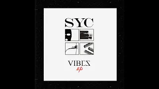 SYC - Democracy