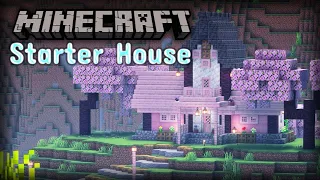 Minecraft Relaxing Longplay - Cozy Starter House (no commentary)