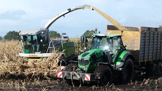 Maisernte 2023 in Burlage (Ostfriesland)