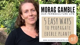 5 simple ways to grow new edible plants from old