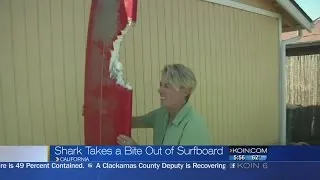 Shark takes bite out of surfboard