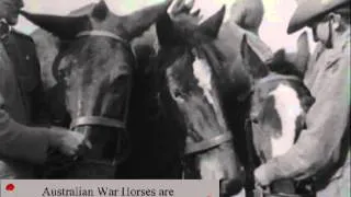 Real War Horse WWI Footage Australian AIF Review by Sir Douglas Haig 1917