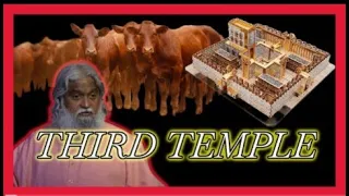 Third Temple Rebuild and the RED HEIFER  America will Betray Israel | Sadhu Sundar Selvaraj