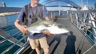 Fishing Sydney Harbour