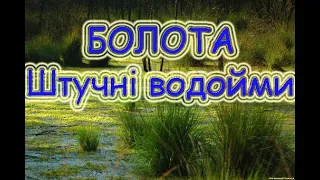 Болота.  Штучні водойми.