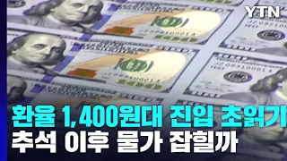 환율 1,400원대 진입 초읽기...추석 이후 물가 잡힐까 / YTN