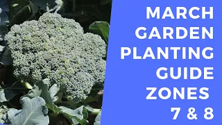 March Planting Guide Zones 7 & 8 - What to plant in your garden in the month of March
