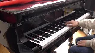 【Undertale】「MEGALOVANIA」を弾いてみた【ピアノ】