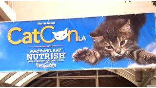 CatCon 2015 - Cat People On The Prowl