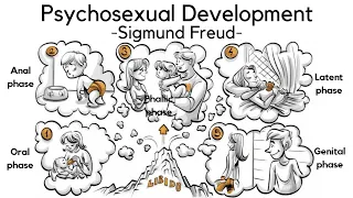 5 Stages of Psychosexual Development -Sigmund Freud-