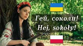 🇺🇦 🇵🇱 Гей, соколи! / Hej, sokoły! – Ukrainian/Polish folk song