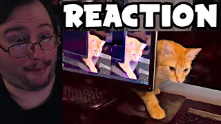 Gor's "UNUSUAL MEMES COMPILATION V251 by UnusualVideo" REACTION