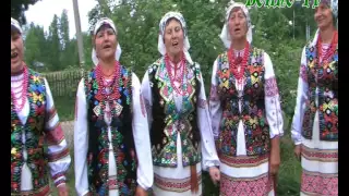 4. фольклорний ансамбль "Журавка" с. Слобода-Небилівська