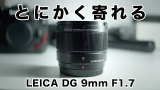 マイクロフォーサーズ待望の超広角単焦点レンズ「LEICA DG SUMMILUX 9mm/F1.7」はとにかく軽くて寄れるのだ！【おすすめ】