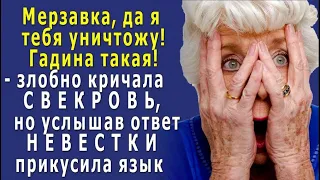 – Мерзавка, да я тебя уничтожу! – кричала СВЕКРОВЬ, но услышав ответ НЕВЕСТКИ прикусила язычок