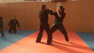 NINJUTSU (Bujinkan Budo Taijutsu)