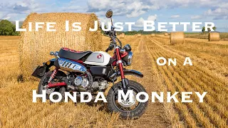2023 Honda Monkey 1500 mile Review