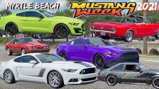 Mustang week 2021 pullouts  , Myrtle beach, Sc   20th anniversary
