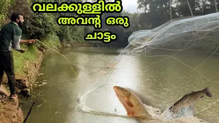 മീനും കിട്ടി വലയും കുരുങ്ങി | castnet fishing | AR Brothers village fishing #fishing #fishingvideo