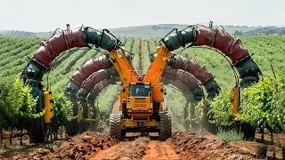 Unbelievable Modern Fruit Harvesters That Are At Another Level