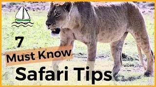 7  BEST AFRICAN SAFARI TIPS -(Tanzania-Serengeti, Ngorongoro Crater, Manyara, Tarangire) #33