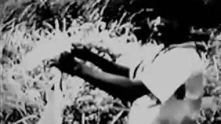 Two-A Short Film  by Satyajit Ray-2.wmv