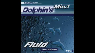 dolphins mind wonderland