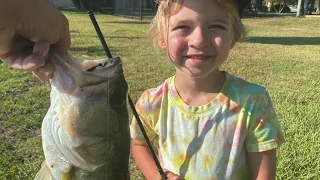 5 year old boy Catches Largemouth Bass on a weedless zoom frog