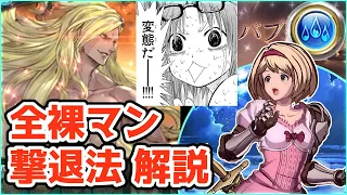 【バブイールの塔 48-1 ベルゼバブ】リロなし 水編成、安定攻略解説【グラブル】