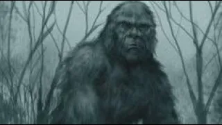 Multiple Encounters with Sasquatch While Hunting With My Disabled Brother March 18th at 10: pm est.