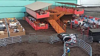 trabajando en las instalaciones de Rancho Nuevo🔥Mini Ganadería🔥