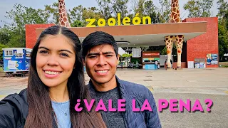 Zoologico de Leon 2023 Tienes que visitarlo