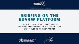 Briefing on the EDVAW Platform