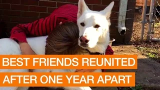 Best Friends Reunited After One Year Apart