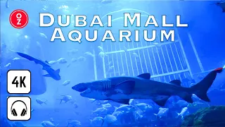 [4K] Dubai Mall Aquarium & Underwater Zoo COMPLETE WALKING TOUR Tunnel & More 🇦🇪