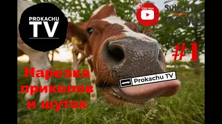 Нарезка приколов и шуток  #1 | Из Обзоров от Prokachu TV