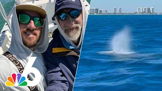 Extremely RARE whale sighting off South Florida coast near Miami