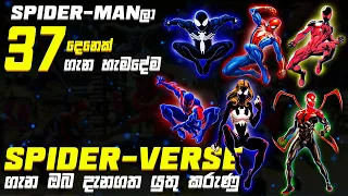 Across The Spider-verse බලන්න කලින් දැනගත යුතු කරුණු | Spider-verse Sinhala Review