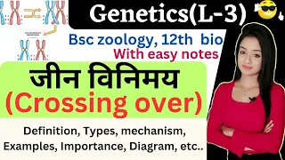 Genetics (L-3), Crossing over in hindi bsc 3rd year zoology, knowledge adda, lion batch, msc zoology