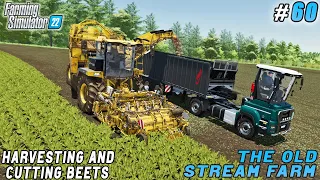 Harvesting & cutting beets for sugar production | The Old Stream Farm | Farming simulator 22 |  #60