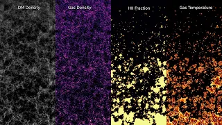 The Thesan Project: How the universe first evolved, immediately after the Big Bang