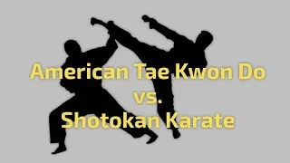 Tae Kwon Do vs Shotokan Karate