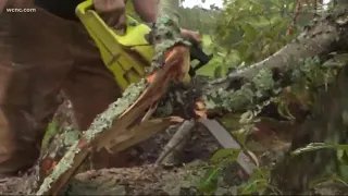 Microburst takes down trees along Lincoln-Gaston County line