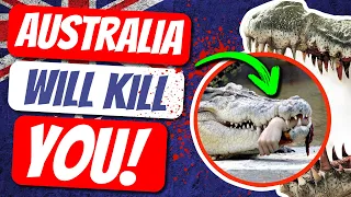 10 Most Dangerous Australian Animals | Part 1