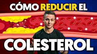 Todo lo que debes saber para reducir el colesterol (suplementos que funcionan)