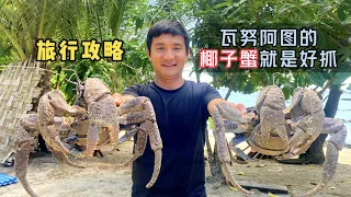 The coconut crabs here are easy to catch and delicious, and each one weighs several catties
